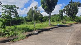 Land for sale in Mactan, Cebu