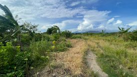 Land for sale in Tenejero, Bataan