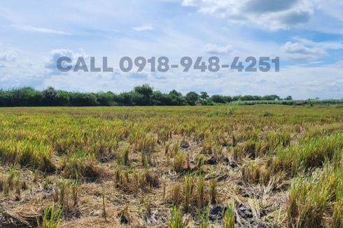 Land for sale in Bantog, Tarlac