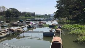 Land for sale in Nong Ya, Kanchanaburi