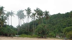 beach and land for sale 📌 Land for sale in Romblon | Dot Property
