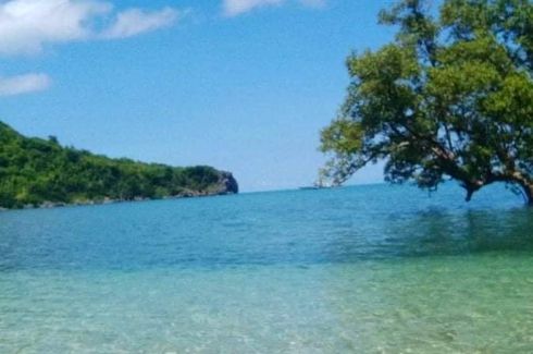beach and land for sale 📌 Land for sale in Romblon | Dot Property