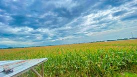 Land for sale in Anao, Pampanga