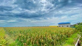 Land for sale in Anao, Pampanga