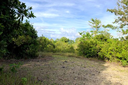 Land for sale in Bahi, Bohol