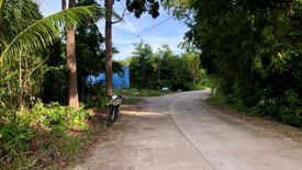 Land for sale in Bahi, Bohol