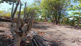 Land for sale in Guadalupe, Cebu