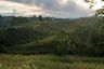 Land for sale in Tikalaan, Bukidnon