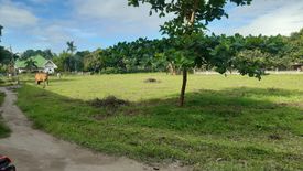 Land for sale in Bagacay, Negros Oriental