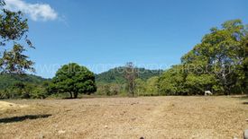 Land for sale in Barotuan, Palawan