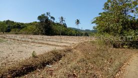 Land for sale in Barotuan, Palawan