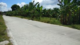 Land for sale in Bolinawan, Cebu