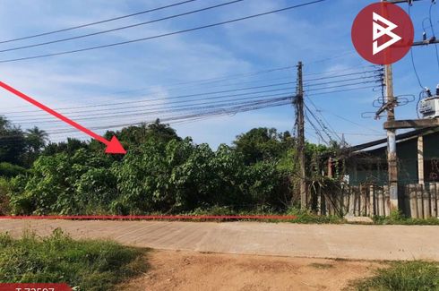 Land for sale in Mathong, Phitsanulok