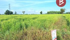 Land for sale in Thamnop, Nakhon Sawan