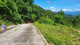 Land for sale in San Jose, Cavite