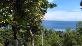 Land for sale in Canangca-An, Cebu