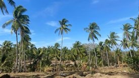 Land for sale in Gregorio Pelaez, Misamis Oriental