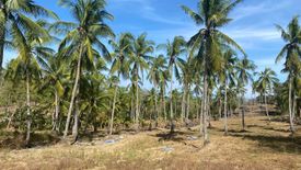 Land for sale in Gregorio Pelaez, Misamis Oriental