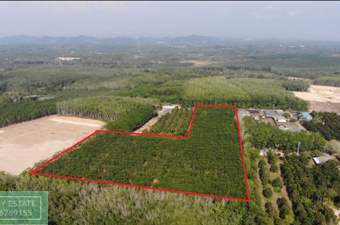 Land for sale in Thung Khwai Kin, Rayong