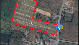 Land for sale in Thung Khwai Kin, Rayong