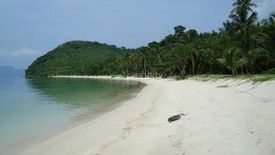 Land for sale in Guadalupe, Palawan