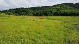 Land for sale in Samoeng Tai, Chiang Mai