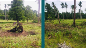 Land for sale in New Ibajay, Palawan