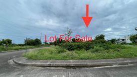 Land for sale in Mactan, Cebu