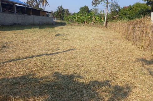 Land for sale in Chom Phu, Chiang Mai