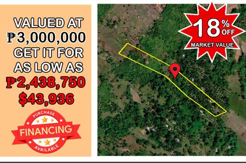 Land for sale in Manalo, Palawan