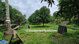 Land for sale in Indangan, Davao del Sur