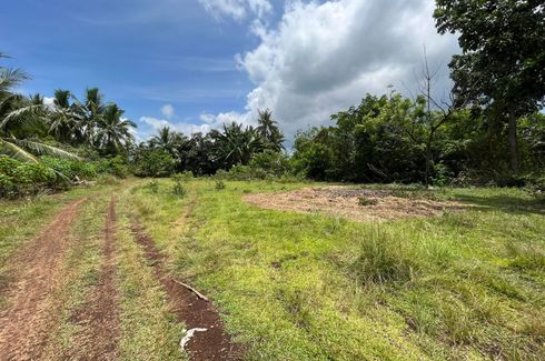 Land for sale in Danao, Bohol