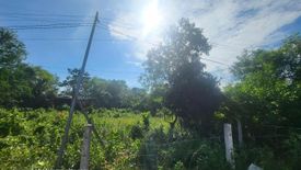 Land for sale in Tawala, Bohol