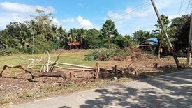 Land for sale in Catarman, Bohol