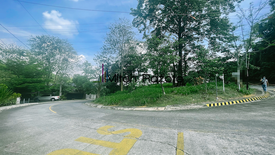 Land for sale in Dela Paz, Rizal