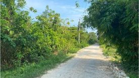 Land for sale in Lourdes, Bohol