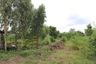 Land for sale in Phon Thong, Lopburi