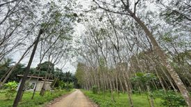 Land for sale in Nong Thale, Krabi