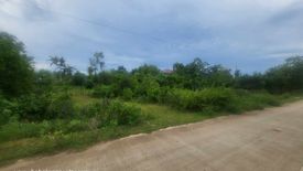 Land for sale in Tangnan, Bohol