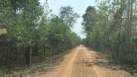 Land for sale in Muang Tuet, Nan