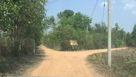 Land for sale in Muang Tuet, Nan