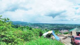 Land for sale in Talamban, Cebu