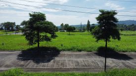 Land for sale in Montala Alviera, Dolores, Pampanga