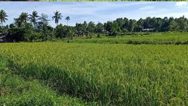 Land for sale in Lomangog, Bohol