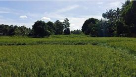 Land for sale in Lomangog, Bohol