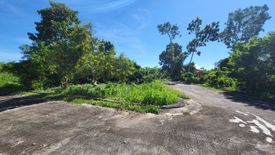 Land for sale in Biking, Bohol