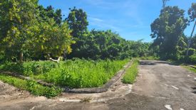 Land for sale in Biking, Bohol