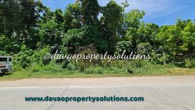Land for sale in Peñaplata, Davao del Norte