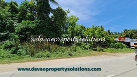 Land for sale in Peñaplata, Davao del Norte