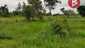 Land for sale in Kut Sai Cho, Maha Sarakham